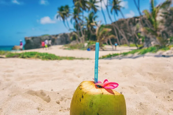 Färsk kokosvatten dryck på stranden resort semester bakgrund med återanvändbara miljövänliga plast halm naturlig hälsosam mat. Tropisk semester. Bottom Bay stranden, Barbados, Karibien resor — Stockfoto