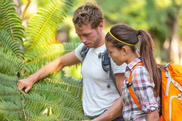 Nature guide biologist naturalist botanist teacher teaching to student about plants and biology. Interpretive walk in rain forest, hiking people studying with backpacks — Stock Photo, Image