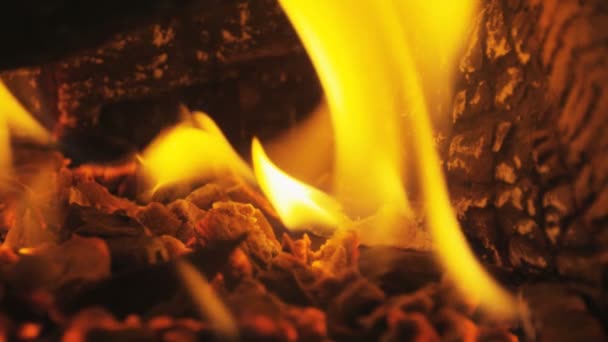 Wood Burning In Fireplace Fire Closeup In Slow Motion — Stok Video