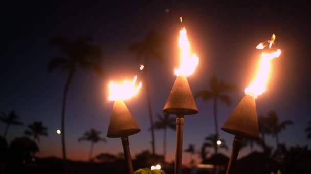 Puesta de sol de Hawai con antorchas de fuego. Icono hawaiano, luces ardiendo al atardecer en el resort — Vídeos de Stock