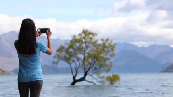 Nový Zéland turista fotí telefon Wanaka Lone Tree u jezera — Stock video