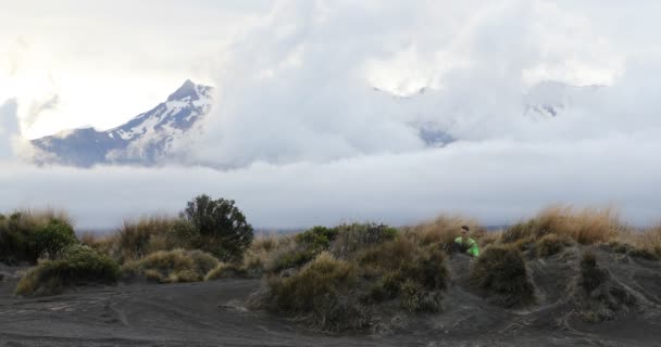 ニュージーランドの山の自然を走るトレイルランナーの男 — ストック動画