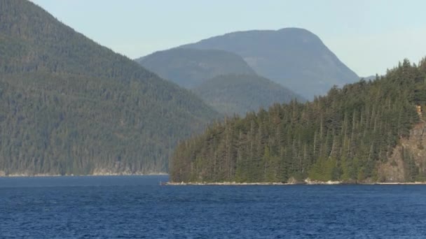 Alaska Nature Landscape - Innendurchfahrt vom Kreuzfahrtschiff aus gesehen — Stockvideo
