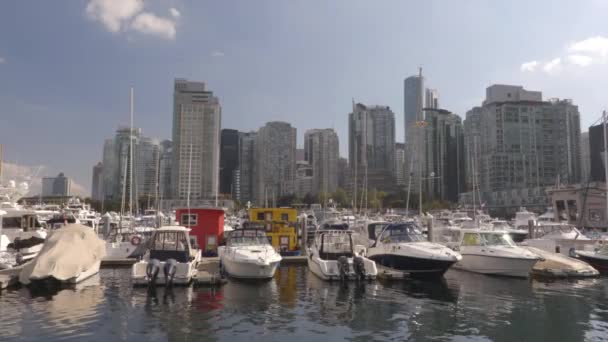 Ванкувер Скайлайн і гавань у Канаді — стокове відео