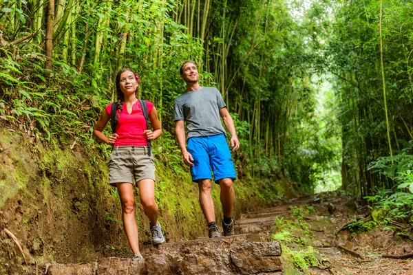 Turisté pěší turistikou v deštných pralesích na Havaji. Mezirasový pár procházející se v dobrodružství. Asijka, běloch, aktivní životní styl. Exkurzní aktivita — Stock fotografie