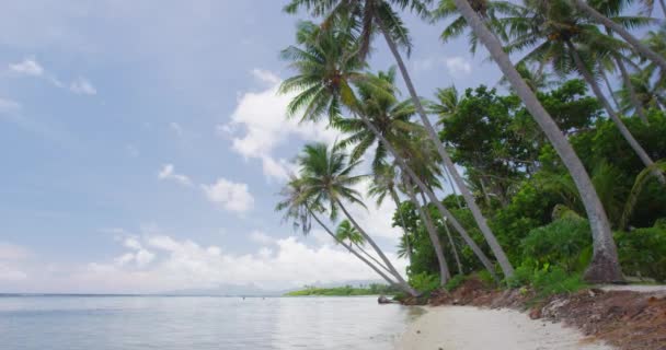 Praia Férias Viagem Férias na Polinésia Francesa - Paradise beach on Bora Bora — Vídeo de Stock