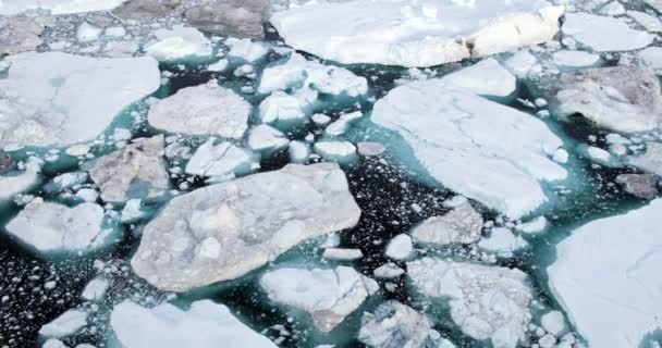 グリーンランドの北極の自然景観の氷河からの氷山と氷 — ストック動画