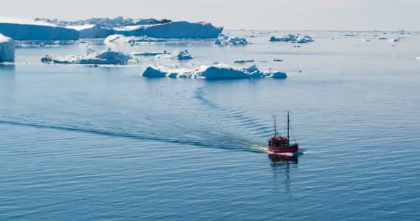 Eisberge und Touristenboot in der grönländischen Eisberglandschaft des Ilulissat-Eisfjords — Stockvideo