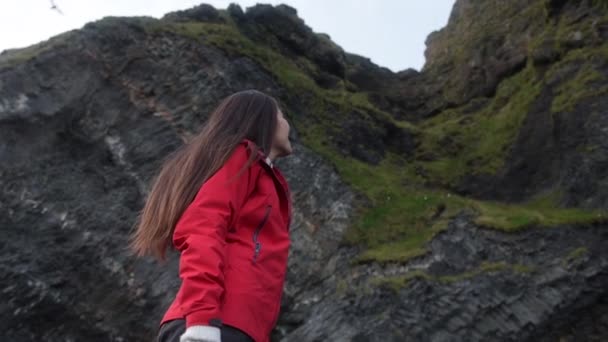 IJsland toeristische vrouw wandelen kijken naar papegaaiduikers op Reynisfjara zwart zandstrand — Stockvideo