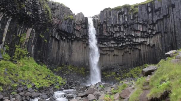 Svartifoss vattenfall i Skaftafell på Island — Stockvideo