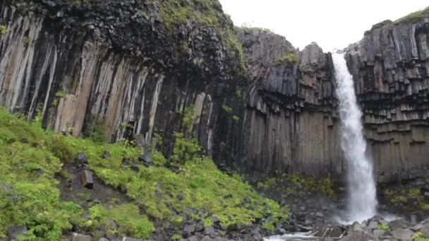 Svartifoss vattenfall i Skaftafell på Island — Stockvideo