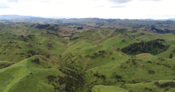 Ackerland Naturlandschaft und Hügel der Landschaft Nordinsel Neuseeland — Stockvideo