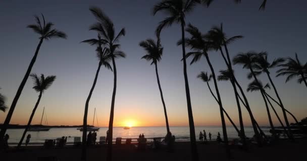 Paradiesischer Sonnenuntergang oder Sonnenaufgang mit tropischen Palmen. Sommerurlaub Urlaub Urlaub buntes Konzept Foto aus dem Meer Ozean Wasser auf Big Island, Hawaii, USA. — Stockvideo