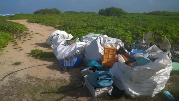 Plast och skräp i havet spolas iland och samlas på sopsäckar på stranden. Från North Shore, Hawaii, Big Island — Stockvideo