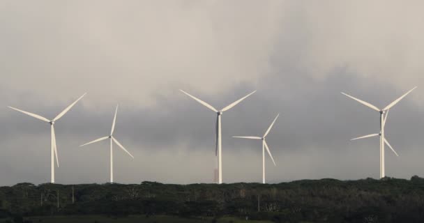 Turbinas eólicas, molinos de viento para la producción de energía eléctrica que producen energía verde sostenible en Oahu, Hawaii, EE.UU. — Vídeos de Stock