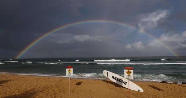 ハワイの虹-ハワイのビーチ｜Haleiwa, North shore. — ストック動画