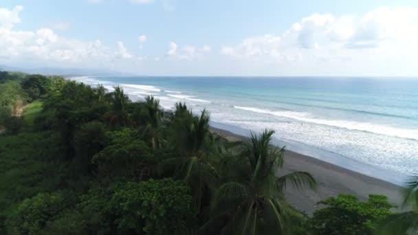 Costa Rica Aerial Drone Video of Playa Matapalo Beach. Destino turístico e férias praia de férias na Costa Rica, América Central — Vídeo de Stock