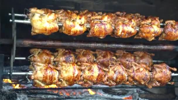 Rotisserie Chicken Gebratene Hühner am Spieß über dem Holzfeuer auf dem großen Grill gegrillt — Stockvideo