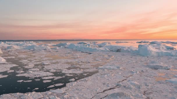 प्रकृति परिदृश्य में ग्लेशियर से आइसबर्ग और बर्फ का हवाई ड्रोन वीडियो ग्रीनलैंड — स्टॉक वीडियो