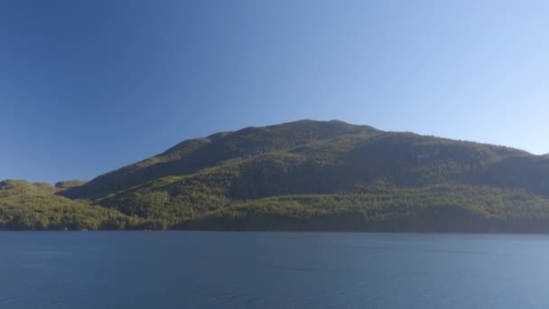 Alaska Nature Landscape - Innendurchfahrt vom Kreuzfahrtschiff aus gesehen — Stockvideo