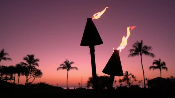 Torcia con fuoco e fiamme che brucia nel cielo del tramonto delle Hawaii dalle palme — Video Stock