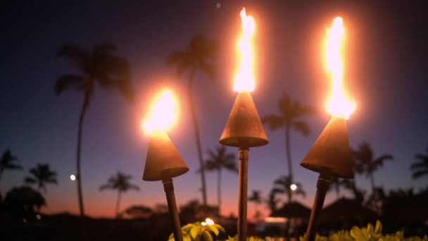 Tramonto alle Hawaii con torce incendiarie. Icona hawaiana, luci accese al crepuscolo del resort — Video Stock