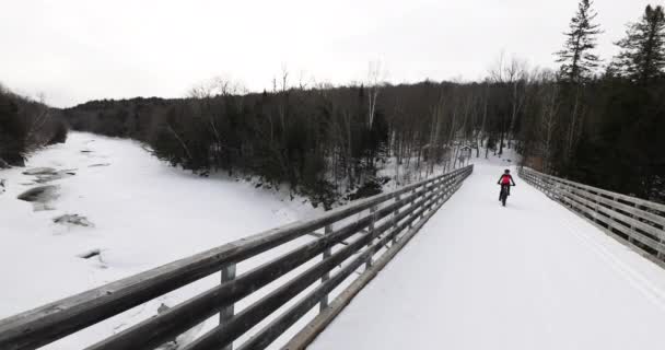 Fat bike in winter. Fat biker riding bicycle in the snow in winter. Woman living healthy outdoor active winter sports lifestyle — Stock Video