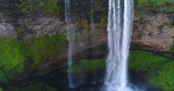 Islanda drone video aerea della famosa cascata Seljalandsfoss nella natura islandese. Icona attrazioni turistiche e meta di riferimento in Islanda paesaggio naturale nel sud dell'Islanda — Video Stock