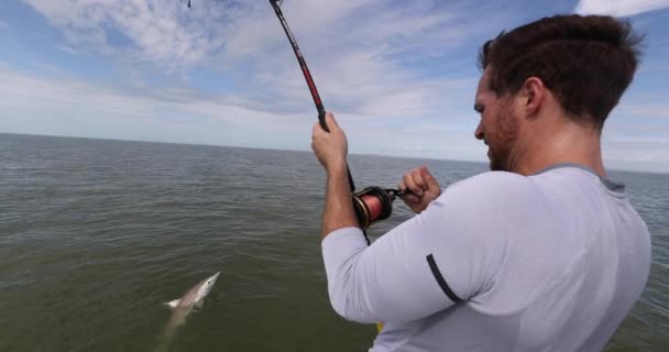 Cápa halászat nagy játék spinner spinner cápa harapás csali ember halász reeling az állat fogási és engedje sport tevékenység a vízen. Hajótúra — Stock videók