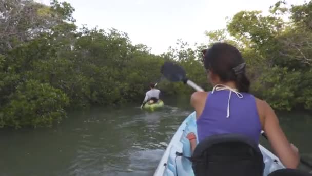 Caiaque - Casal de caiaque em caiaque aventura de viagem na Flórida — Vídeo de Stock