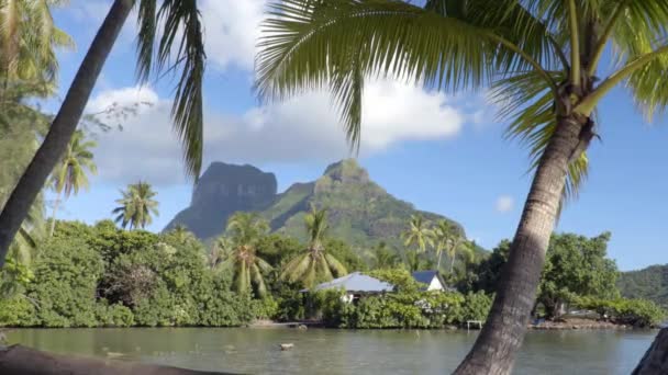 Bora Bora ve Tahiti 'deki Otemanu Dağı Fransız Polinezyası — Stok video