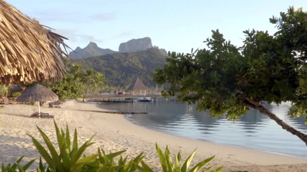Beach on Bora Bora vacation paradise island overwater bungalows hotel resort — Stock Video