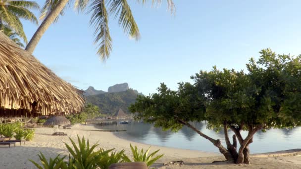 Bora Bora strand nyaralás paradicsom sziget víz feletti bungalók hotel resort — Stock videók