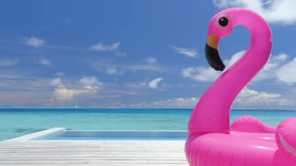 Pool Beach Vacation travel inflatable pink flamingo float toy mattress by pool — Stock Video