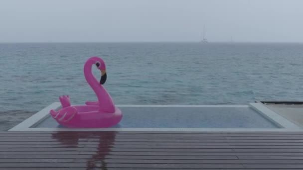 Chuva em férias - vídeo engraçado de flamingo flutuar na piscina de luxo enquanto chove — Vídeo de Stock