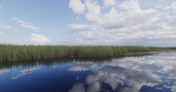 Paisaje de la naturaleza de Everglades en Florida - Cámara roja Movimiento lento — Vídeos de Stock