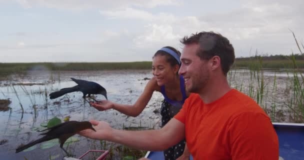 Everglades turystów na wycieczce ekoturystyki łodzi powietrznych karmienia ptaków w Everglades — Wideo stockowe