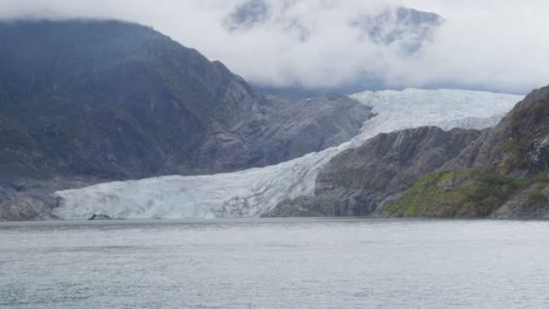 Alaska Tourist walking by Mendenhall Glacier — Stock Video
