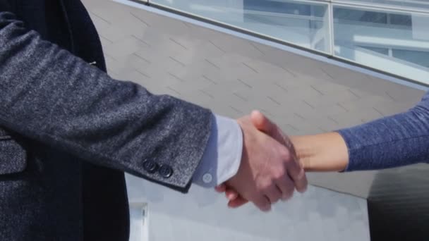 Business Handshake - pessoas de negócios que se encontram apertando as mãos, homem e mulher — Vídeo de Stock