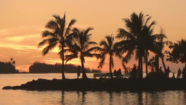 Reisvakantie achtergrond video. Bora Bora Frans Polynesië South Pacific Island Zonsondergang met palmbomen en mensen 's nachts genieten van prachtige natuur in idyllische tropische paradijs. — Stockvideo