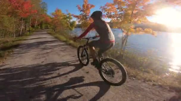 Cykla i höst. Mountainbiker ridning MTB cykel på skogsgrus i höst lövverk med färgglada blad. Kvinnan lever hälsosam livsstil. Petit train du nord, Mont Tremblant, Quebec, Kanada. — Stockvideo