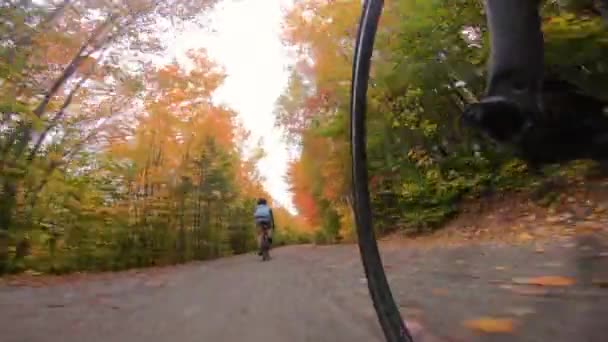 Ghiaia in bicicletta in autunno. Persone in bicicletta equitazione ghiaia bici da strada in autunno sul sentiero forestale. Donna che vive sano stile di vita sportivo attivo all'aperto. Coppia mountain bike insieme. — Video Stock