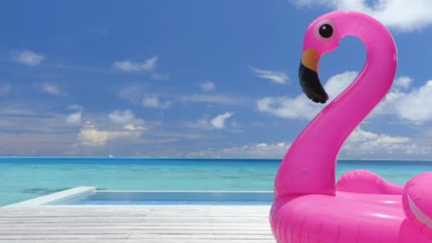 Ταξίδι διακοπές φόντο βίντεο. Πισίνα Παραλία Διακοπές ταξίδια φουσκωτά ροζ φλαμίνγκο επιπλέουν στρώμα παιχνίδι από την πισίνα — Αρχείο Βίντεο