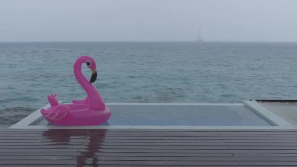 Regen op vakantie - grappige video van flamingo drijven in luxe zwembad tijdens het regenen — Stockvideo