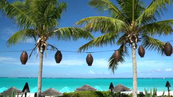 Palmer och blå himmel på semester stranden - Slow motion — Stockvideo