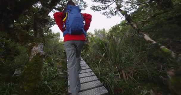 Backpackers Tramping On Footbridge közepette fák Routeburn pályán — Stock videók