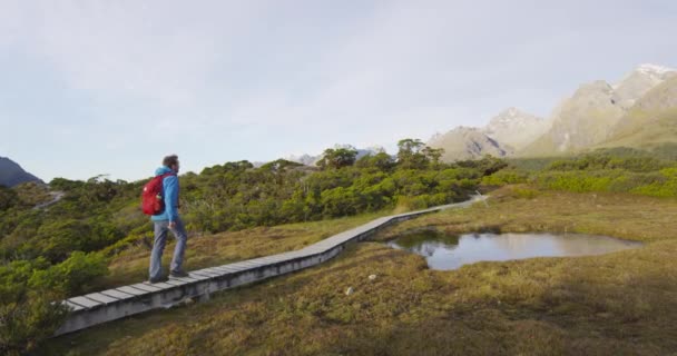 Gente pisoteando en el paseo marítimo en la pista de Routeburn en el Parque Nacional Fiordland — Vídeo de stock