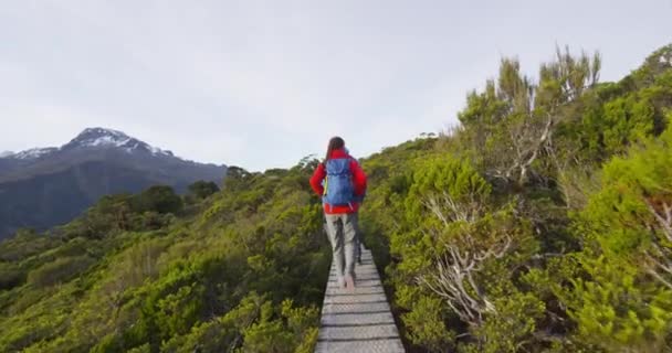 Routeburn Pistindeki Ağaçların Arasında Yürüyen Sırt Sırtçantaları — Stok video