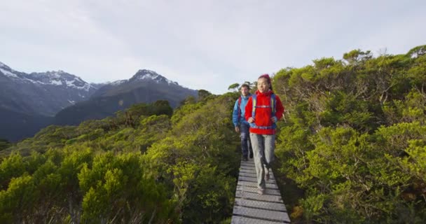 Jóvenes mochileros caminando en el paseo marítimo entre árboles en Routeburn Track — Vídeo de stock