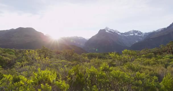 Jasné slunce svítí nad cennými stromy a horami v národním parku Fiordland — Stock video